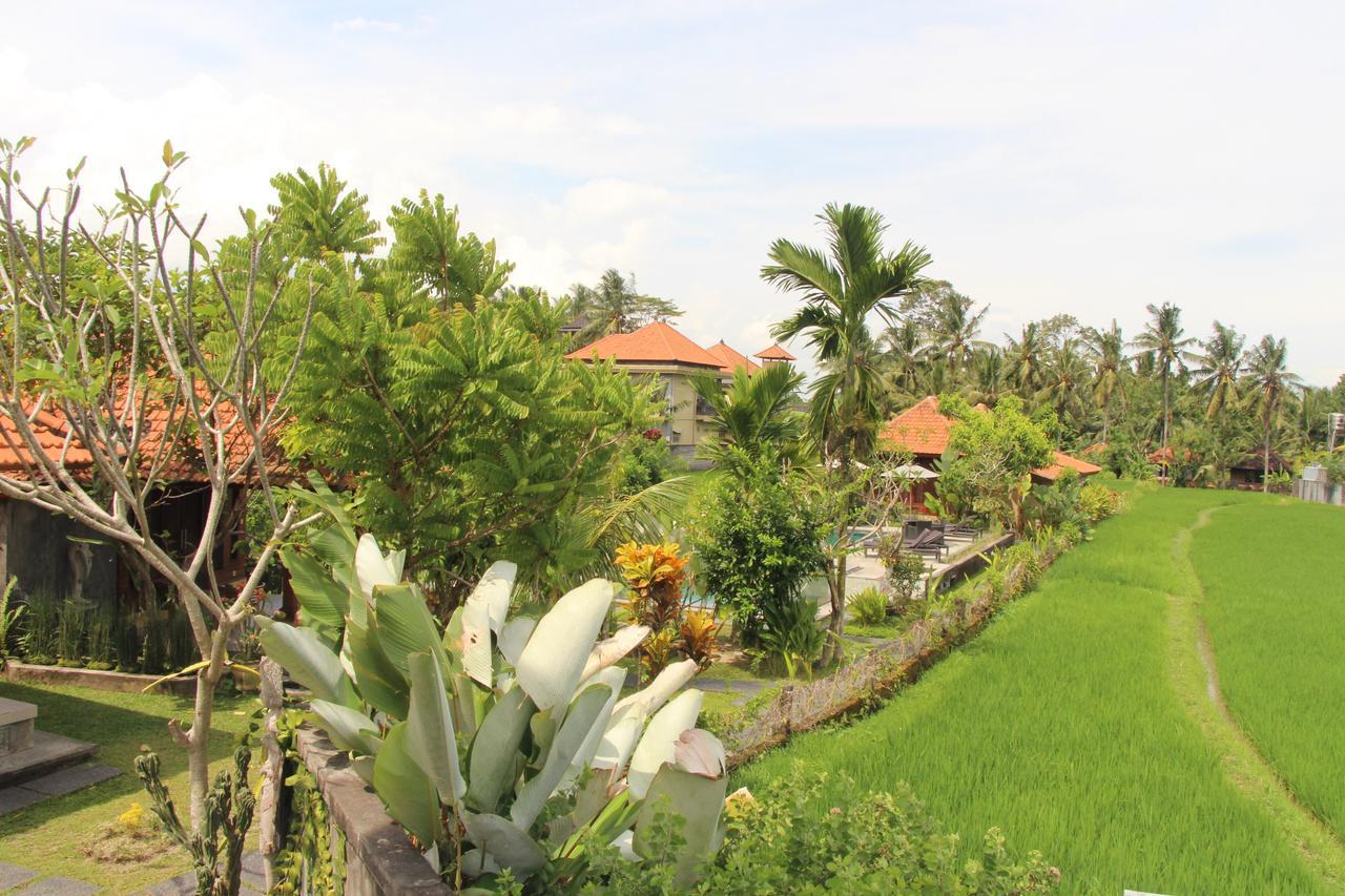 Nur Guest House By Purely Ubud Exteriér fotografie