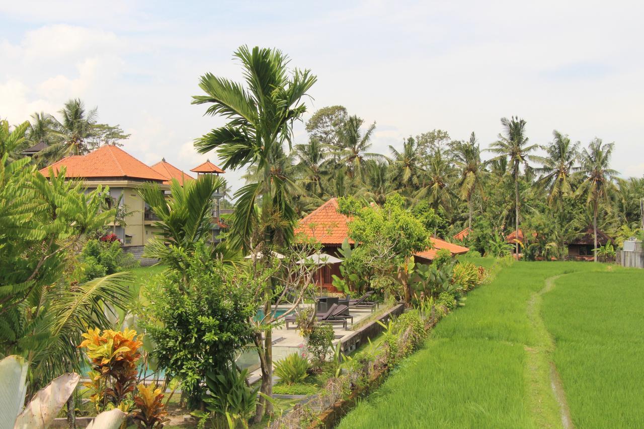 Nur Guest House By Purely Ubud Exteriér fotografie